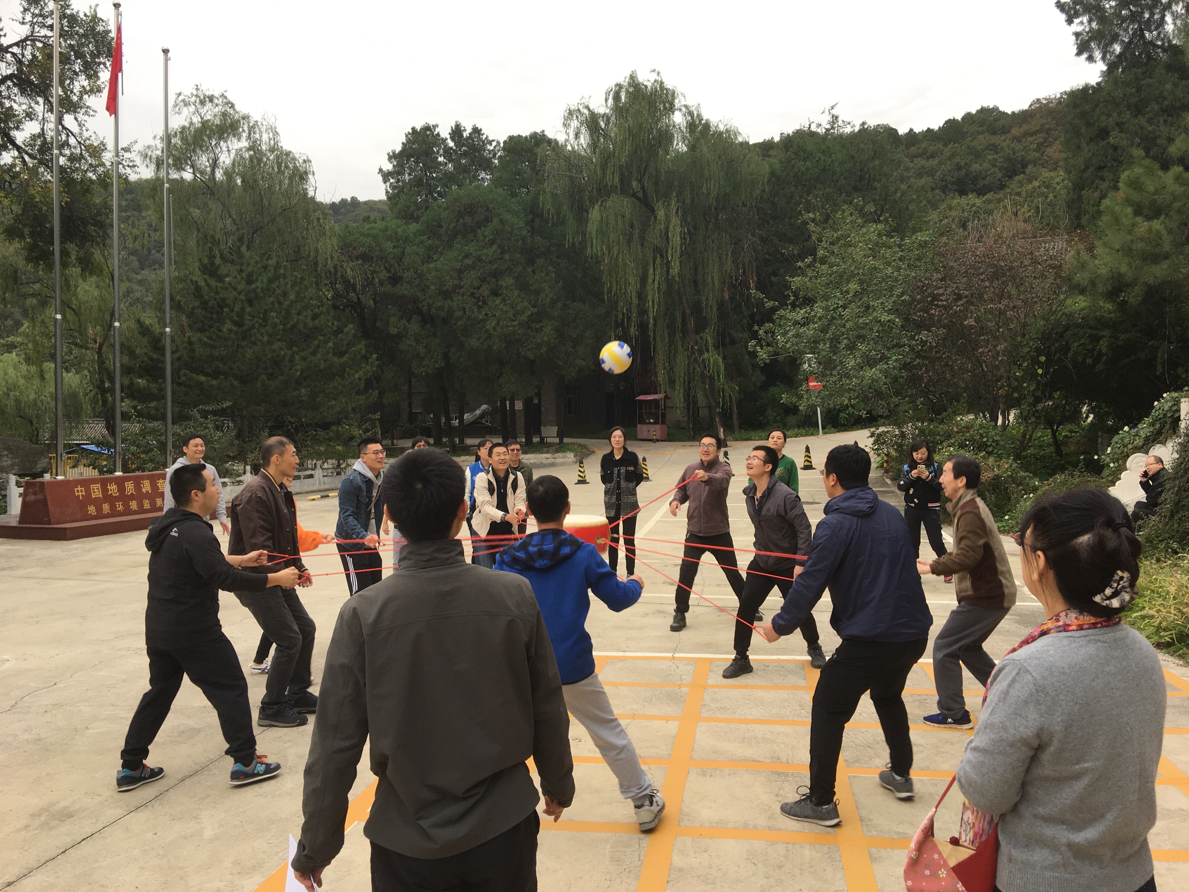 图片4